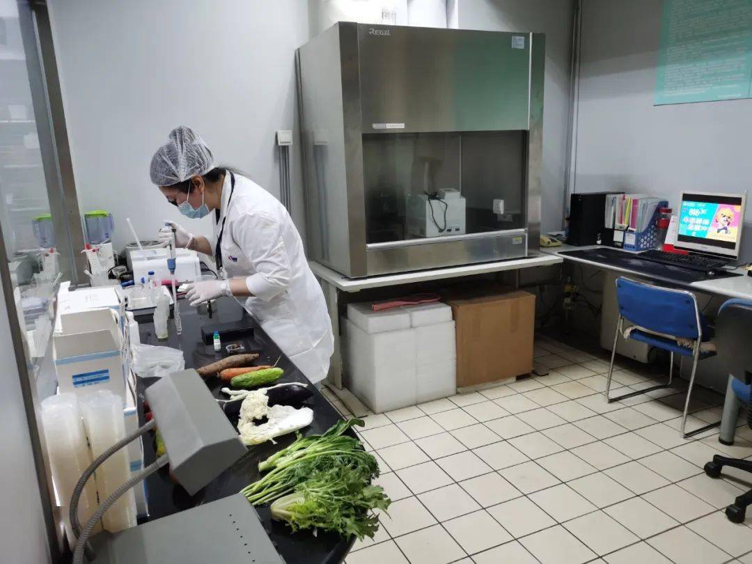 太和食品检测实验室装修方案